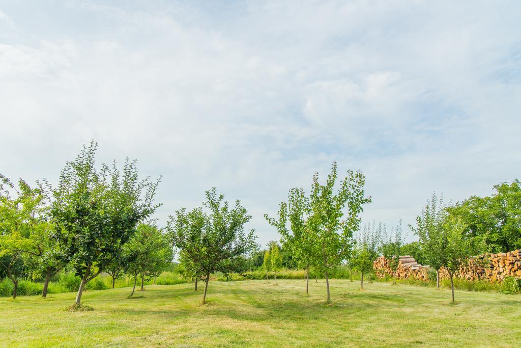 Garden Holiday Home Drenje  Exterior foto
